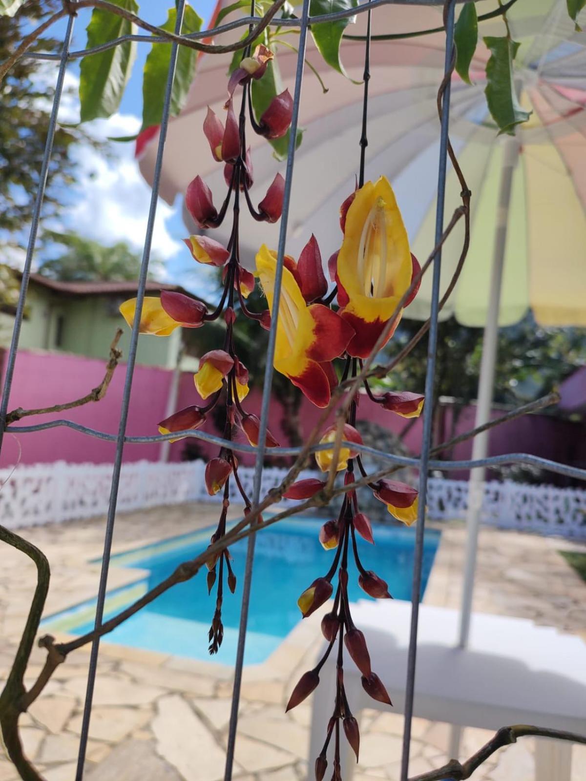 Pousada Nova Primavera Ubatuba Buitenkant foto